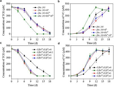 Iron Sulfide Enhanced the Dechlorination of Trichloroethene by Dehalococcoides mccartyi Strain 195